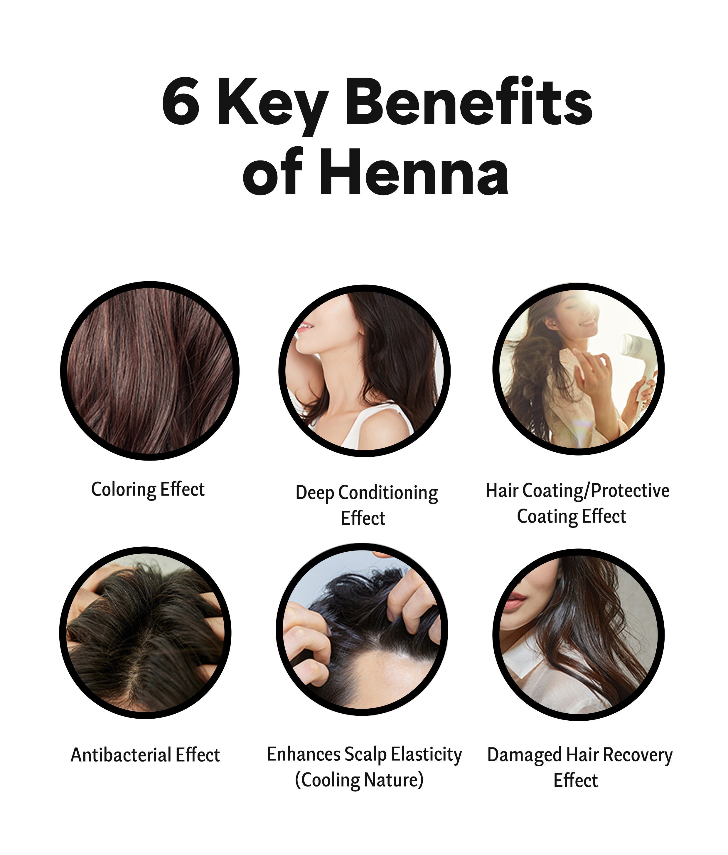 Fermented Black Garlic Henna Shampoo –16.9fl.oz (500ml) <br> 🧄 Fermented Black Garlic Power  <br> ✨ Stronger Roots, Shinier Hair