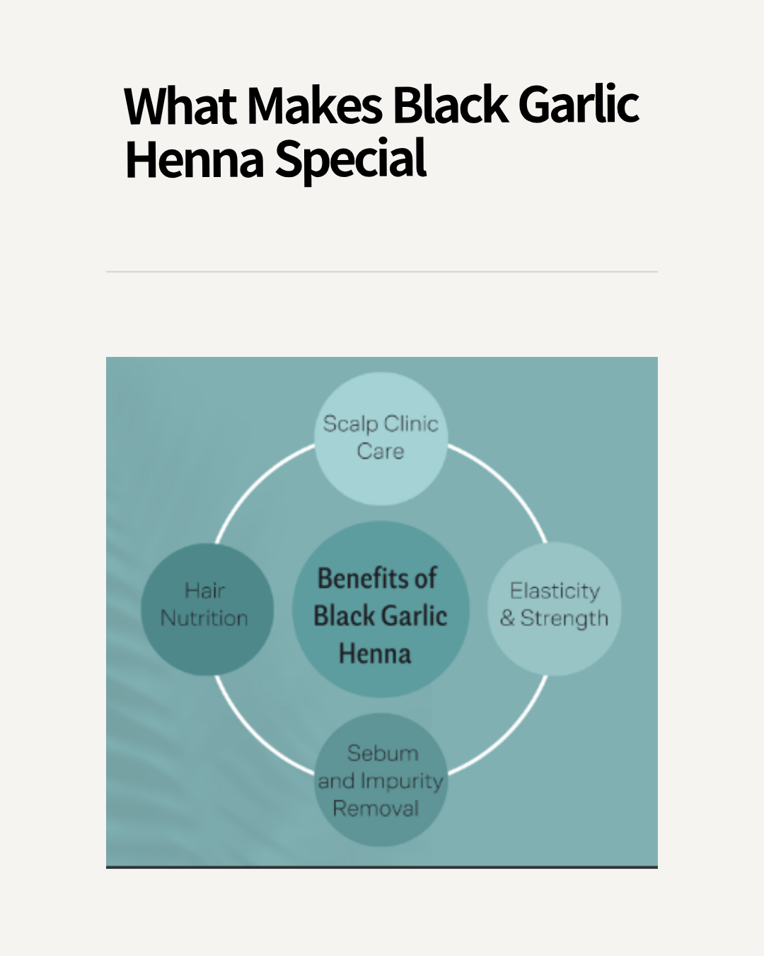 Fermented Black Garlic Henna Shampoo –16.9fl.oz (500ml) <br> 🧄 Fermented Black Garlic Power  <br> ✨ Stronger Roots, Shinier Hair